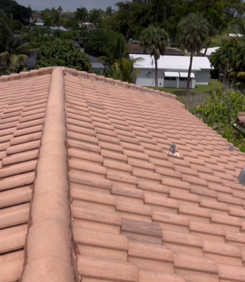 Roof Cleaning Near me