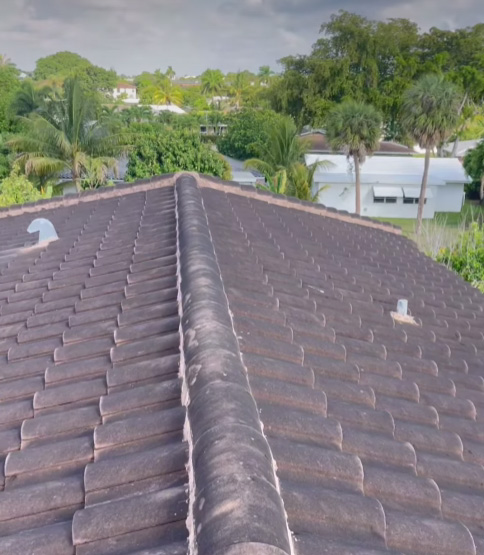 Roof Cleaning near me