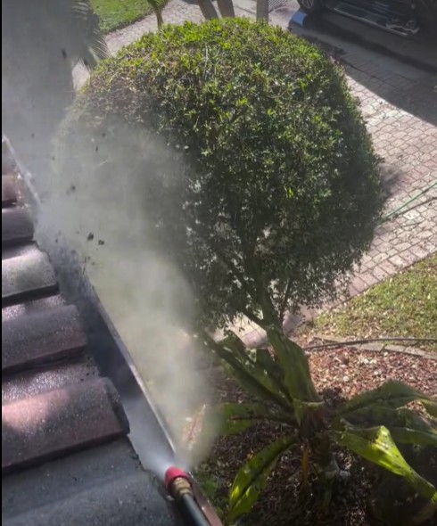 gutter-cleaning-near-me-florida-servicejpg
