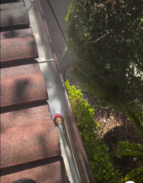 gutter-cleaning-near-me-service-florida.jpg
