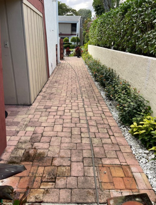 pressure-cleaning-near-me-walkway